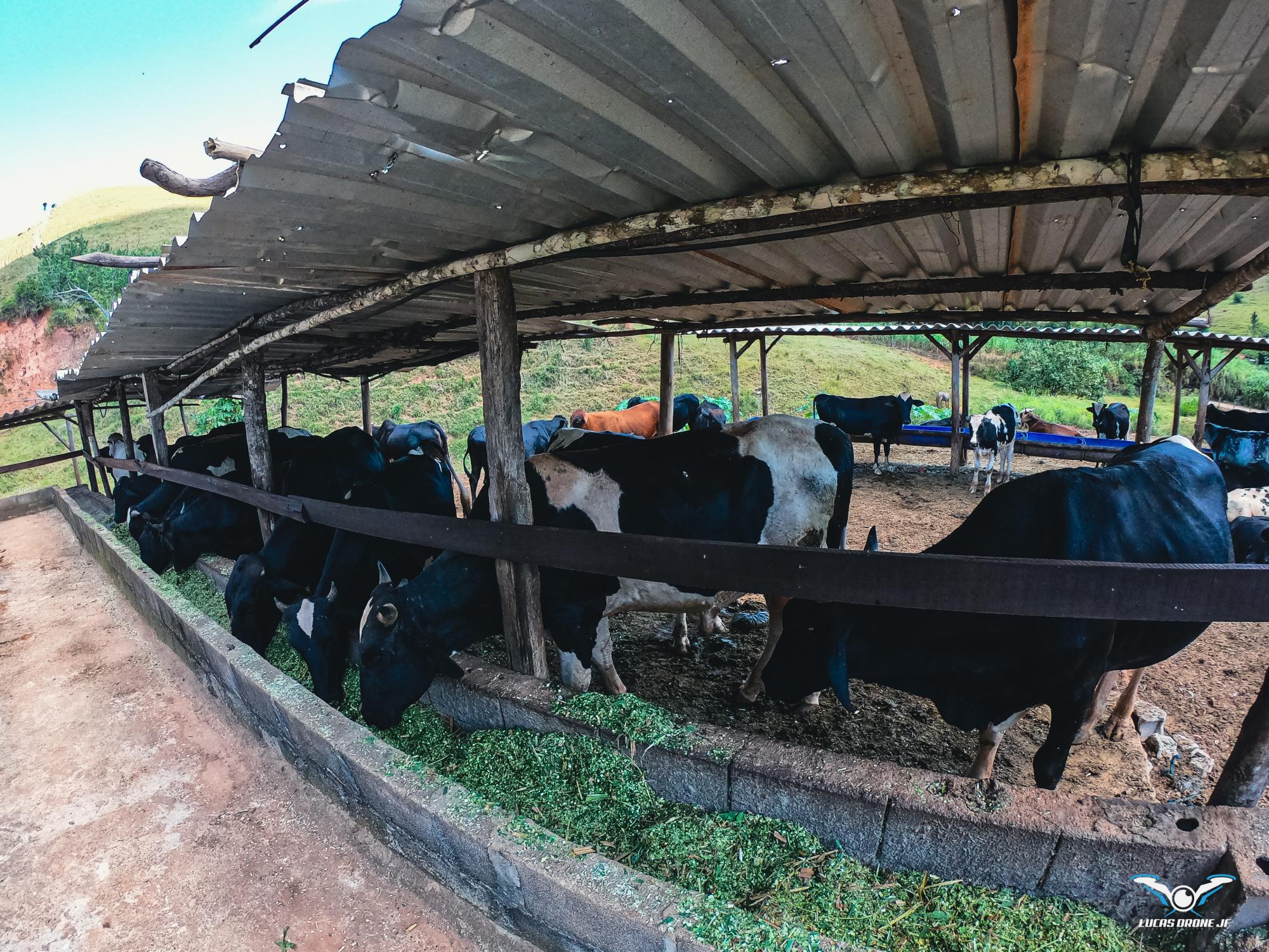 Fazendinha Trilha da Lona - Oportunidade