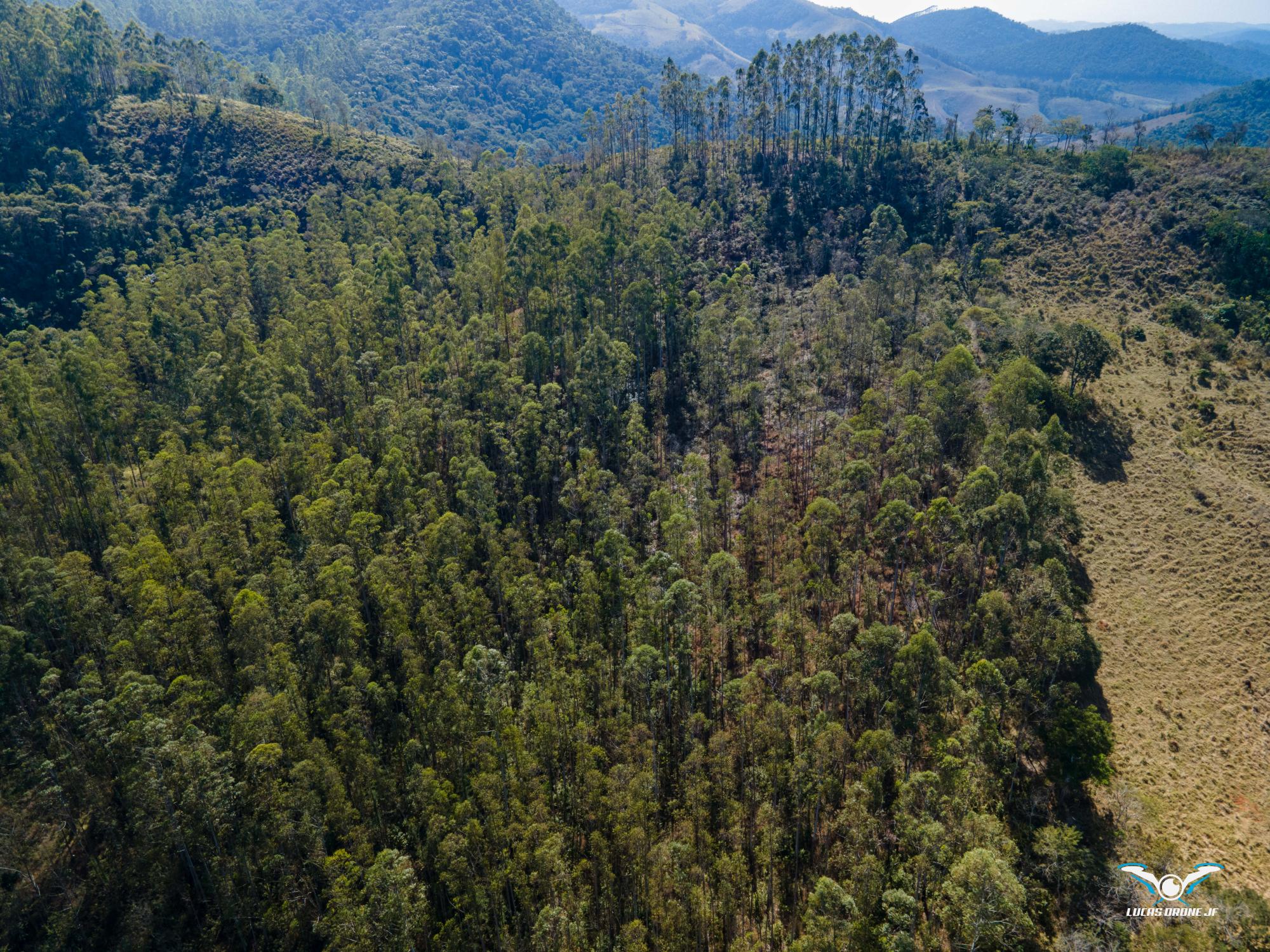 Fazenda São Miguel